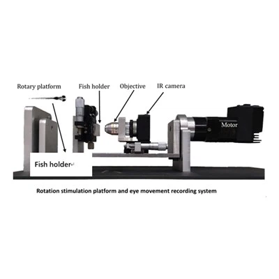 Система тестування вестибулярного очного рефлексу рибки даніо